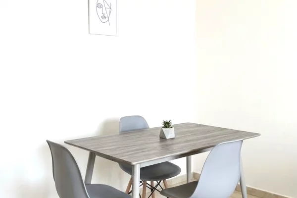 Shtepi me qera Apartament ne Tirane, 1+1, Mobilimi E mobiluar, Pagesa 55,000  Leke.