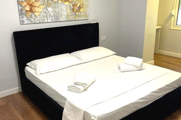Shtepi me qera Apartament ne Tirane, 1+1, Mobilimi E mobiluar, Pagesa 65,000  Leke.
