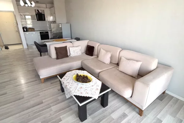 Shtepi me qera Apartament ne Tirane, 2+1, Mobilimi E mobiluar, Pagesa 55,000  Leke.