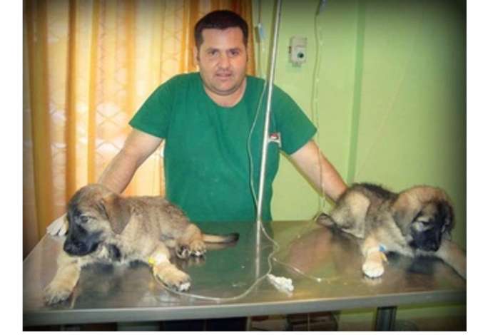 Health and Beauty Services in Tirana - 0 