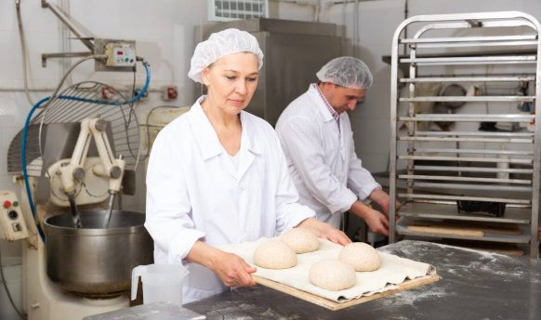 Offerte di lavoro a Tirana, Profession Specialist brumi , Nessuna esperienza, Pagamento Trattabile.