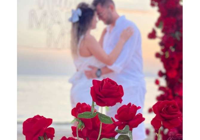 Holiday arrangements a Tirana - 0 