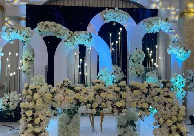 Organizime festash ne Fier - 0 