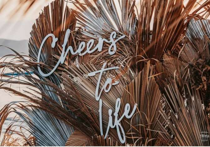 Rita Dekor ofron sherbime profesionale per Dekore ambientesh, organizime per Ditelindje, Pagezime, Ceremoni, Inagurime etj.