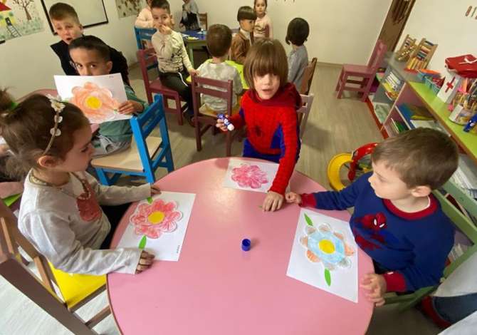 Education Services in Tirana - 0 Leke