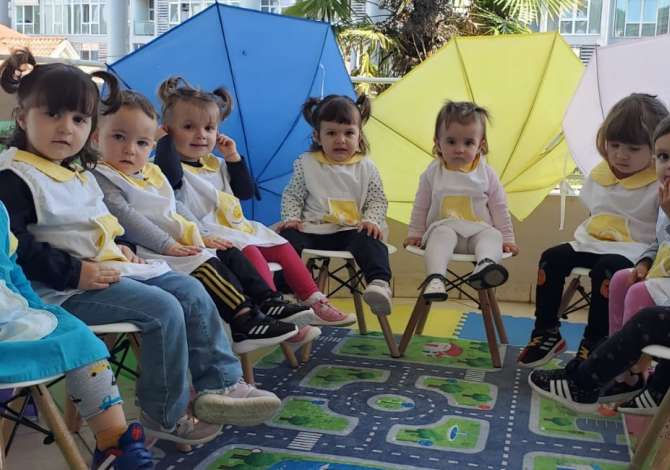 Education Services in Tirana - 0 Leke