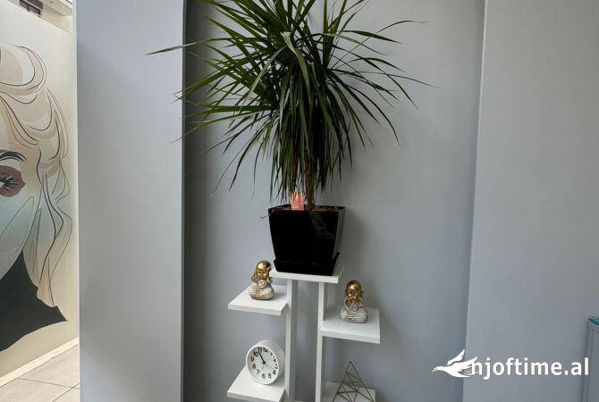 Business Property in Sale 1+1 in Tirana - 112,000 Euro