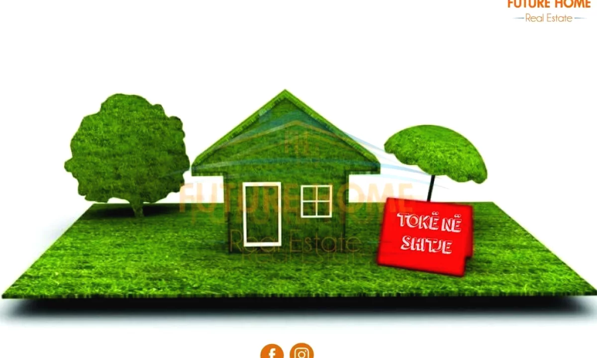 Shitet, Toke Are, Sauk