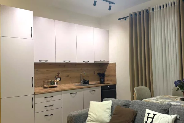 Shtepi me qera Apartament ne Tirane, 1+1, Mobilimi E mobiluar, Pagesa 45,000  Leke.