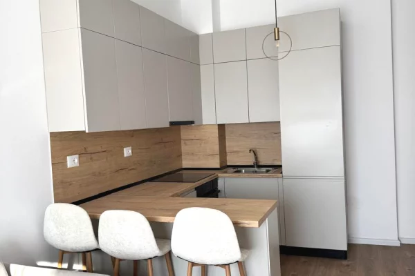 House for Rent 1+1 in Tirana - 45,000 Leke