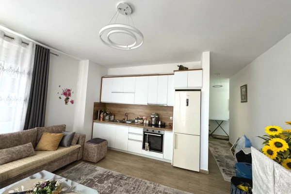 Shtepi me qera Apartament ne Tirane, 1+1, Mobilimi E mobiluar, Pagesa 55,000  Leke.