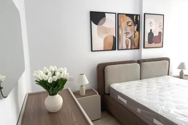 Shtepi me qera Apartament ne Tirane, 2+1, Mobilimi E mobiluar, Pagesa 850  Euro.