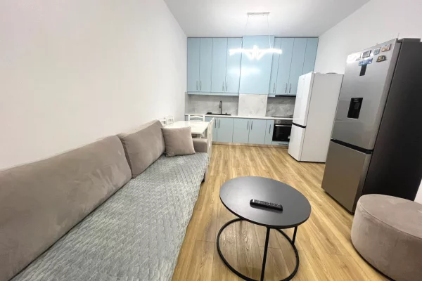 Apartment for rent in Tirana 1+1, Furnished