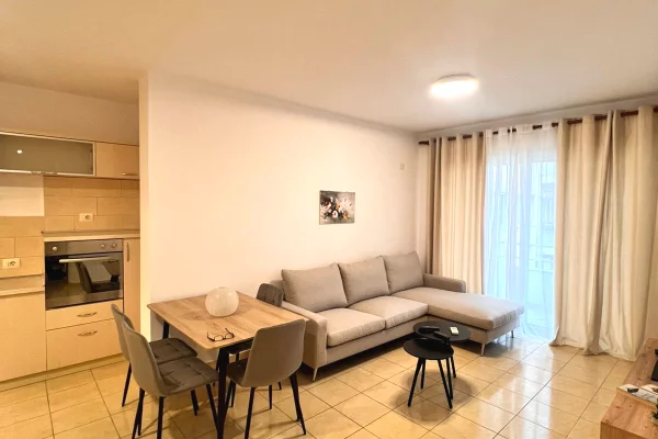 House for Rent 1+1 in Tirana - 50,000 Leke
