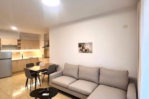 Apartment for rent in Tirana 1+1, Furnished
