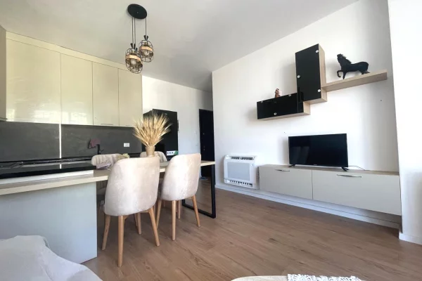 Appartamento in affitto a Tirana 1+1, Arredato