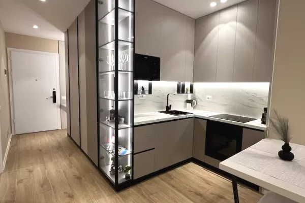 Appartamento in affitto a Tirana 1+1, Arredato