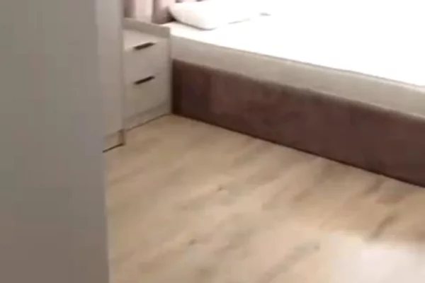 Shtepi me qera Apartament ne Tirane, 2+1, Mobilimi E mobiluar, Pagesa 500  Euro.