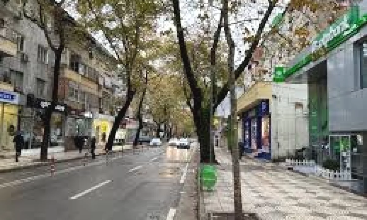 Jepet me qera ambjent biznesi + 7 🅿️ Parkimi ne Myslym Shyr