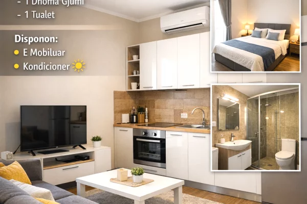 Shtepi me qera 1+1 ne Tirane - 50,000 Leke