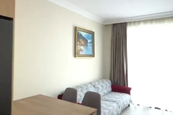 Shtepi me qera Apartament ne Tirane, 1+1, Mobilimi E mobiluar, Pagesa 450  Euro.