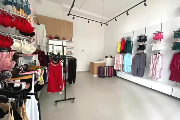 Ambient biznesi me qera 1+1 ne Tirane - 600 Euro