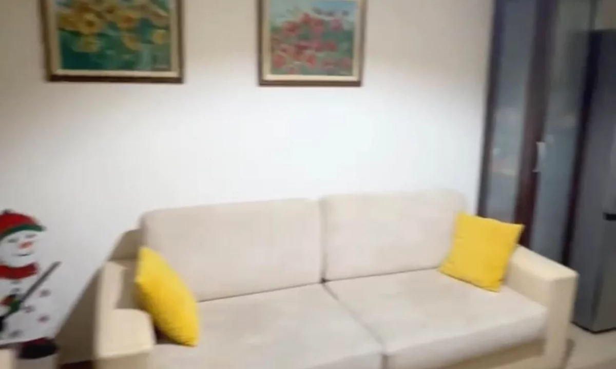 Shtepi me qera Apartament ne Tirane, 2+1, Mobilimi E mobiluar, Pagesa 600  Euro.