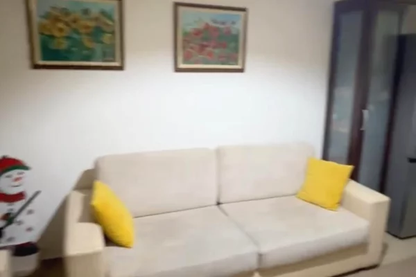 Shtepi me qera Apartament ne Tirane, 2+1, Mobilimi E mobiluar, Pagesa 600  Euro.