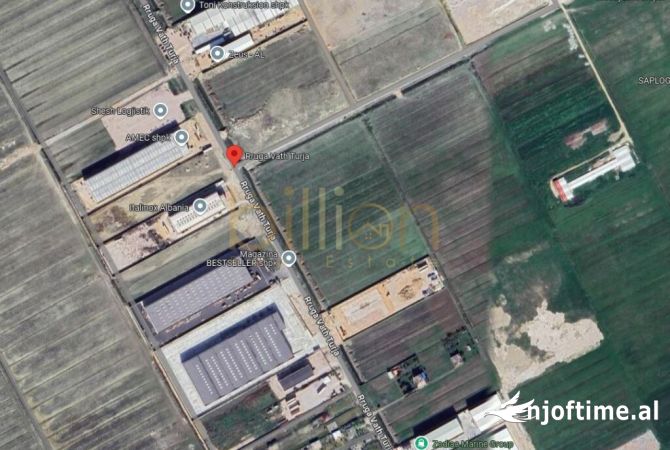 Ne Durres, shitet toke me siperfaqe 4000 m2. 200000 Euro, ID: Billion3892