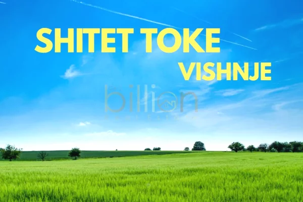 Truall ose Toke ne Tirane - 330,000 Euro