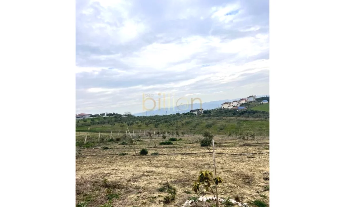 SHITET TOKE ARRE NE DURRES ARAPAJ. 283.000Euro, ID: Billion4094​