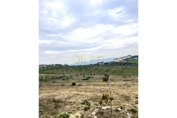 SHITET TOKE ARRE NE DURRES ARAPAJ. 283.000Euro, ID: Billion4094​