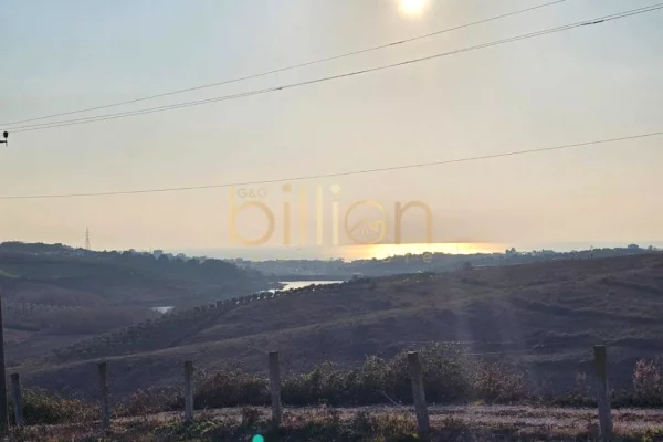 SHITET TOKE ARRE NE DURRES ARAPAJ. 283.000Euro, ID: Billion4094​