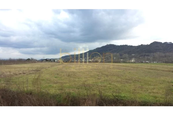 SHITET TOKË NË FUSHË PREZË. 220.000 EURO. Billion4605​