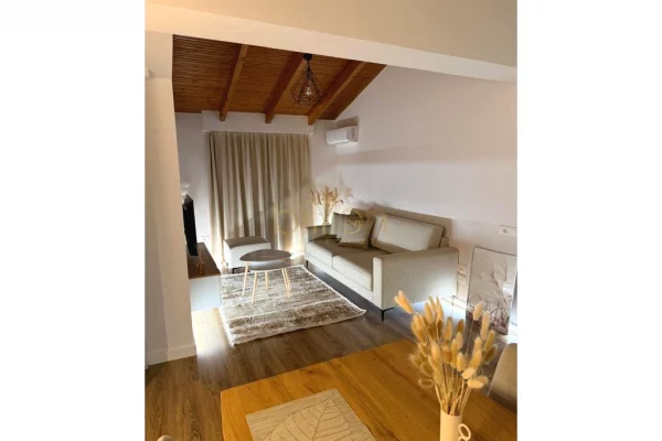 Shtepi me qera Apartament ne Tirane, 1+1, Mobilimi E mobiluar, Pagesa 850  Euro.