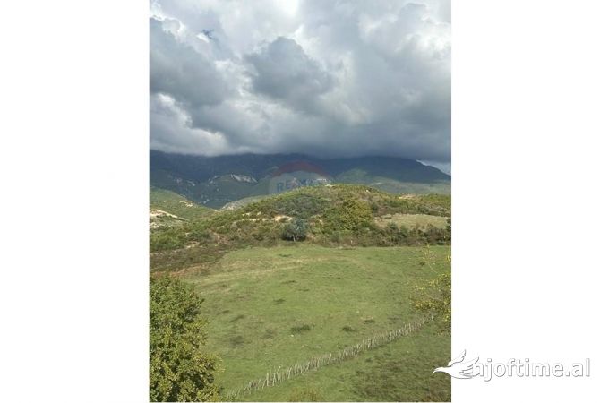 TOKE NE SHITJE NE FARKE.