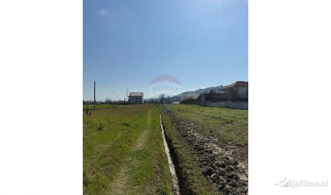 SHESIM TOKE NE FUSHE-PREZE!