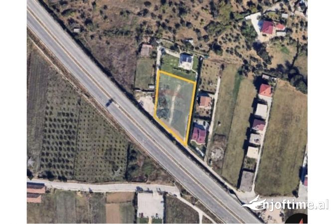 Toke njolle e kuqe per shitje ne Mullet prane TEG!