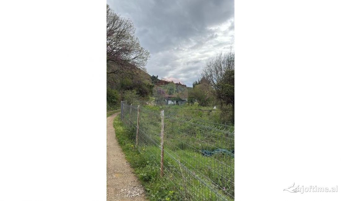 SHITET TOKE NE HERRAJ!