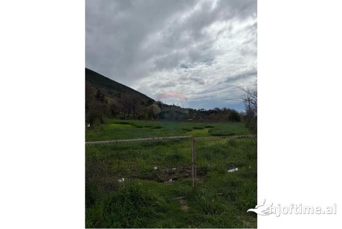 SHITET TOKE NE HERRAJ!