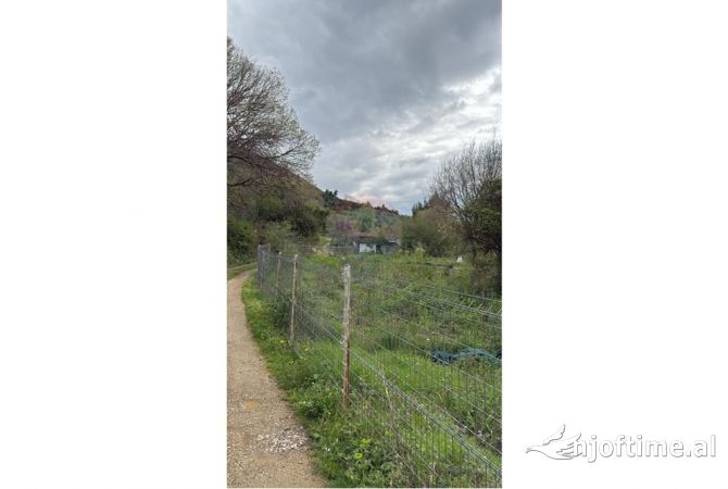 SHITET TOKE NE HERRAJ!