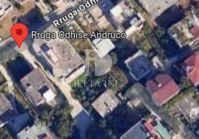 Shitet Toke në Sauk