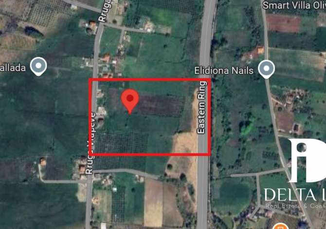  Shitet Toka në Farkë! 