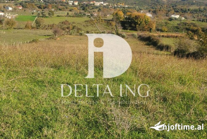 Shitet Tokë në Farkë