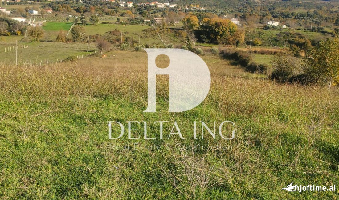 Shitet Toke ne Farke