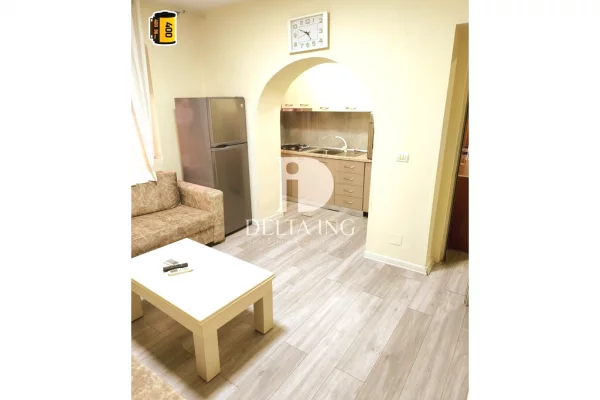 Shtepi ne shitje Apartament ne Tirane, 1+1, Mobilimi E mobiluar, Pagesa 147,000  Euro.