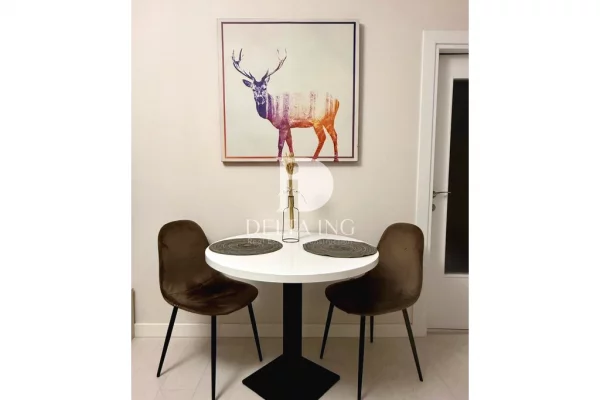 Appartamento in vendita a Tirana 1+1, Arredato