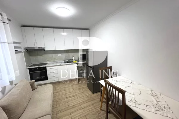 Apartment for rent in Tirana 1+1, Furnished