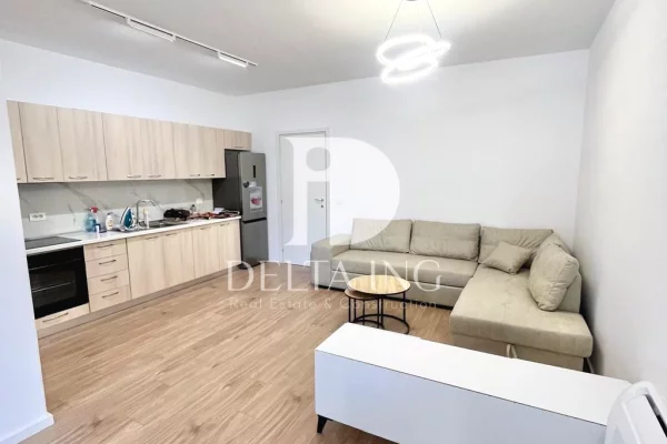 Apartment for rent in Tirana 1+1, Furnished