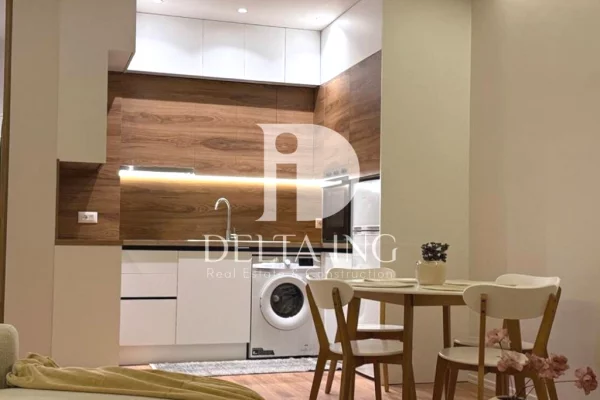 Shtepi ne shitje Apartament ne Tirane, 1+1, Mobilimi E mobiluar, Pagesa 155,000  Euro.
